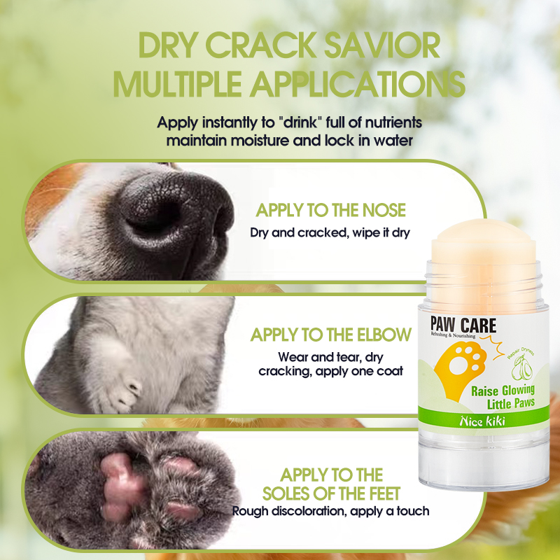 Crema Idratante per Zampe di A - Shea Butter Raw recensione e prezzo