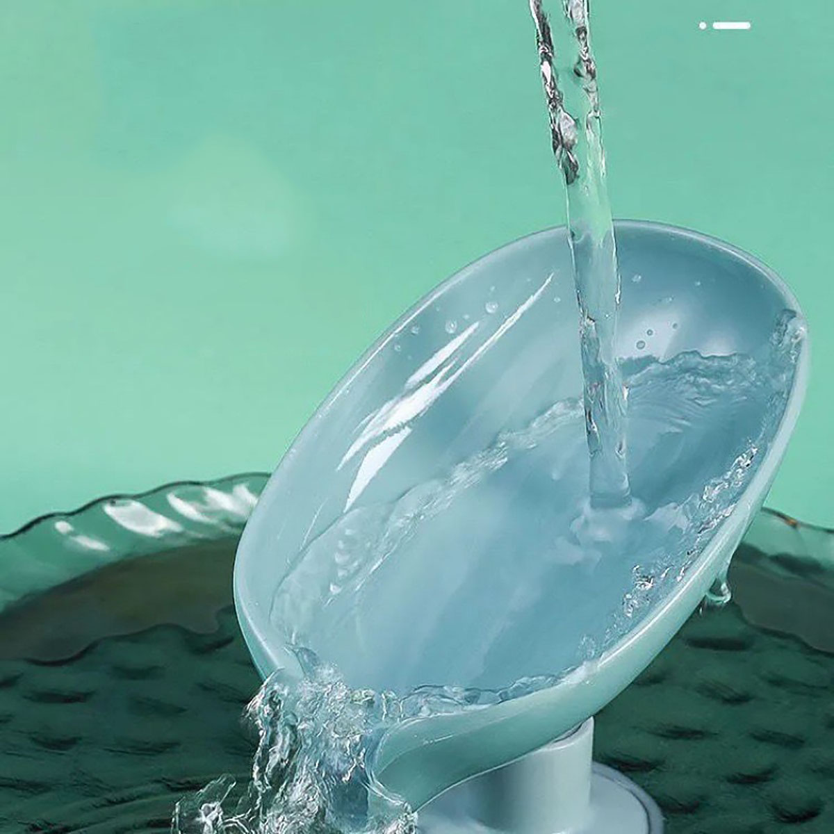 Portasapone a forma di foglia  - Soap Making Box recensione e prezzo